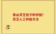 泰山灵芝孢子粉种植？灵芝人工种植方法