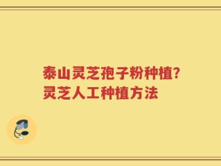 泰山灵芝孢子粉种植？灵芝人工种植方法