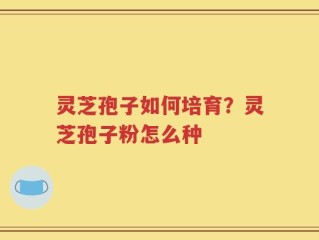 灵芝孢子如何培育？灵芝孢子粉怎么种