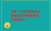 家里一个灵芝菌包怎么种植(如何种植家里的灵芝菌包？)