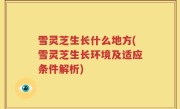雪灵芝生长什么地方(雪灵芝生长环境及适应条件解析)