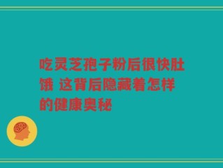 吃灵芝孢子粉后很快肚饿 这背后隐藏着怎样的健康奥秘