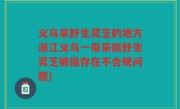 义乌采野生灵芝的地方浙江义乌一带采摘野生灵芝被指存在不合规问题)