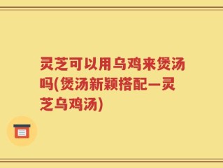灵芝可以用乌鸡来煲汤吗(煲汤新颖搭配—灵芝乌鸡汤)