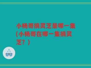 小杨哥摘灵芝是哪一集(小杨哥在哪一集摘灵芝？)