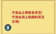 宁波山上哪里有灵芝(宁波山顶上隐藏的灵芝之地)