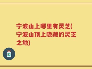 宁波山上哪里有灵芝(宁波山顶上隐藏的灵芝之地)