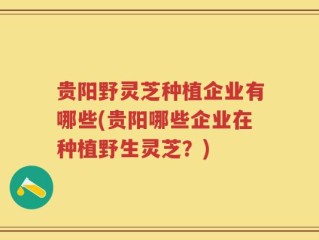 贵阳野灵芝种植企业有哪些(贵阳哪些企业在种植野生灵芝？)