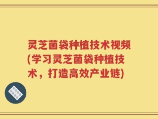 灵芝菌袋种植技术视频(学习灵芝菌袋种植技术，打造高效产业链)