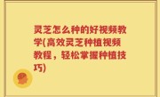 灵芝怎么种的好视频教学(高效灵芝种植视频教程，轻松掌握种植技巧)