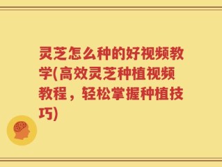 灵芝怎么种的好视频教学(高效灵芝种植视频教程，轻松掌握种植技巧)