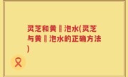 灵芝和黄茋泡水(灵芝与黄茋泡水的正确方法)