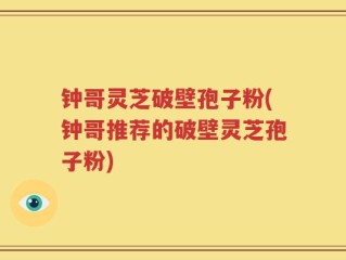钟哥灵芝破壁孢子粉(钟哥推荐的破壁灵芝孢子粉)