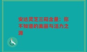 安达灵芝三萜含量：你不知道的美丽与活力之源