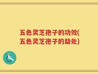 五色灵芝孢子的功效(五色灵芝孢子的益处)