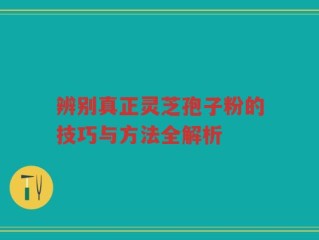 辨别真正灵芝孢子粉的技巧与方法全解析