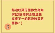 起泡胶灵芝菌体太高如何盆栽(如何合理盆栽高度不一的起泡胶灵芝菌体？)
