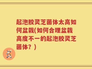起泡胶灵芝菌体太高如何盆栽(如何合理盆栽高度不一的起泡胶灵芝菌体？)