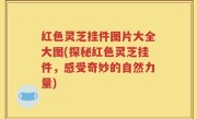 红色灵芝挂件图片大全大图(探秘红色灵芝挂件,感受奇妙的自然力量)