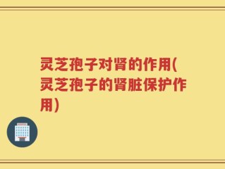 灵芝孢子对肾的作用(灵芝孢子的肾脏保护作用)