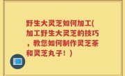 野生大灵芝如何加工(加工野生大灵芝的技巧，教您如何制作灵芝茶和灵芝丸子！)
