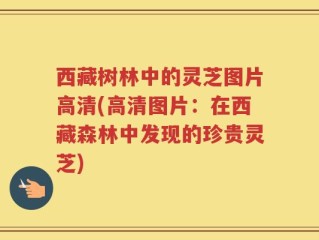 西藏树林中的灵芝图片高清(高清图片：在西藏森林中发现的珍贵灵芝)