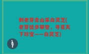 刺老芽走山采白灵芝(老芽徒步攀登，寻觅天下珍宝——白灵芝)