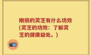 刚摘的灵芝有什么功效(灵芝的功效：了解灵芝的健康益处。)