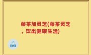 藤茶加灵芝(藤茶灵芝，饮出健康生活)