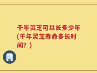 千年灵芝可以长多少年(千年灵芝寿命多长时间？)