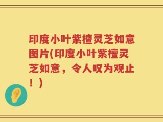印度小叶紫檀灵芝如意图片(印度小叶紫檀灵芝如意，令人叹为观止！)