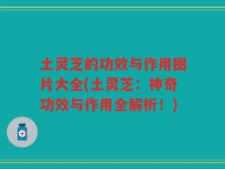 土灵芝的功效与作用图片大全(土灵芝：神奇功效与作用全解析！)