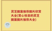 灵芝图案推荐图片欣赏大全(赏心悦目的灵芝图案图片推荐大全)