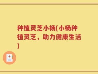 种植灵芝小杨(小杨种植灵芝，助力健康生活)
