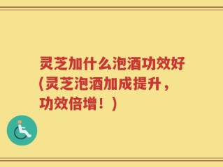 灵芝加什么泡酒功效好(灵芝泡酒加成提升，功效倍增！)