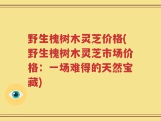 野生槐树木灵芝价格(野生槐树木灵芝市场价格：一场难得的天然宝藏)