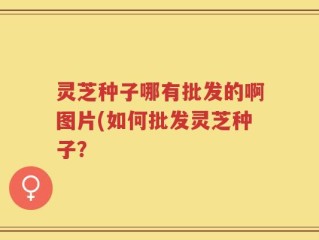 灵芝种子哪有批发的啊图片(如何批发灵芝种子？