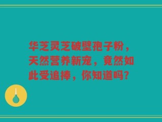 华芝灵芝破壁孢子粉，天然营养新宠，竟然如此受追捧，你知道吗？