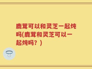 鹿茸可以和灵芝一起炖吗(鹿茸和灵芝可以一起炖吗？)