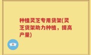 种植灵芝专用货架(灵芝货架助力种植，提高产量)