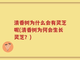 清香树为什么会有灵芝呢(清香树为何会生长灵芝？)