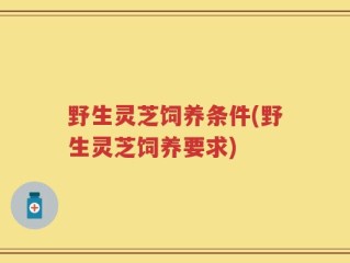 野生灵芝饲养条件(野生灵芝饲养要求)