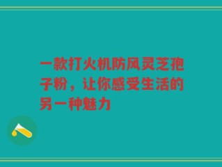 一款打火机防风灵芝孢子粉，让你感受生活的另一种魅力