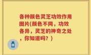 各种颜色灵芝功效作用图片(颜色不同，功效各异，灵芝的神奇之处，你知道吗？)