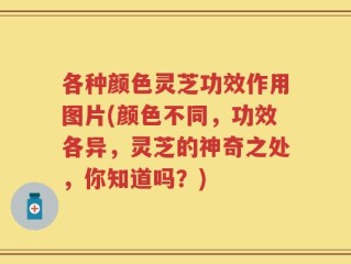 各种颜色灵芝功效作用图片(颜色不同，功效各异，灵芝的神奇之处，你知道吗？)