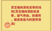 灵芝瘦肉煲蛇舌草的功效(灵芝瘦肉煲配蛇舌草，益气养血，抗疲劳，提高免疫力的营养煲汤)