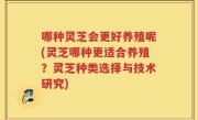 哪种灵芝会更好养殖呢(灵芝哪种更适合养殖？灵芝种类选择与技术研究)