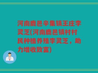 河南鹿邑辛集镇王庄李灵芝(河南鹿邑镇村村民种植养殖李灵芝，助力增收致富)