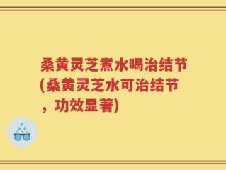 桑黄灵芝煮水喝治结节(桑黄灵芝水可治结节，功效显著)
