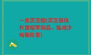 一条灵芝烟(灵芝提炼代替烟草制品，能减少吸烟危害)
